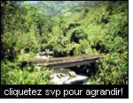 Aménagement de petits bassins-versants pour la régulation du cycle hydrologique, Projet OIBT PD 54/99 (2002), San Nicolás – Rio Negro, Colombie.