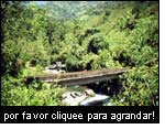 Manejo de microcuencas para la regulación del ciclo hidrico, Proyecto OIMT PD 54/99 (2002), San Nicolás – Rio Negro, Colombia.