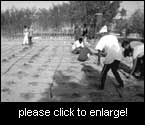 Students at the agricultural school in Hagaz, Eritrea, test the new technology. Photo: Brigitta Stillhardt