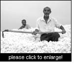 Kyrgyz cotton farmers. Photo: Helvetas