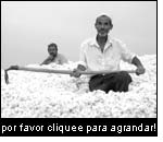 Agricultores kirguises de algodón. Foto: Helvetas