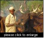 A M'Borroro shepherd with his herd. IFAD Central African Republic-National Livestock Project.