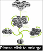 The flow of information between stakeholders during adaptive learning runs along a non-hierarchical scheme. 