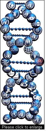 The diagram presents the ‘environment DNA’ linking all UN organisation with relation to environment and development issues. ( United Nations Environment Programm)