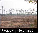 Deforested landscape in Eastern Cambodia. The area is still classified as forest, although most of the carbon has been lost. (Photo: Jürgen Blaser, Intercooperation)