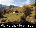 Central Balkan National Park, the Ray (Paradise) Mountain Hut. (Photo: DNP Central Balkan)