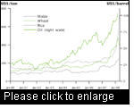 World Commodity Prices, January 2000–April 2008. Figure on page 3 of IFPRI publication mentioned under “Source”. Reproduced with permission from the International Food Policy Research Institute (www.ifpri.org).