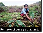 Si las mujeres tienen el derecho a la tenencia de la tierra, podrán producir y proveer suficientes alimentos para ellas y sus familias. Señora en Nueva Segovia, Nicaragua. (Foto: Manuel Fandiño, Revista Enlace)