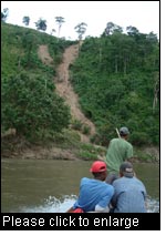 Extremely heavy rainfalls during hurricanes bring about landslides in spite of forest cover. They endanger lives, crops and livestock on the river Coco in northern Nicaragua. (Photo: Falguni Guharay, SIMAS)