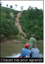 Au cours d’ouragans, les pluies importantes conduisent aux glissements de terrain, malgré le couvert forestier. Ceux-ci mettent en danger des vies, les cultures et le bétail le long de la rivière Coco au nord du Nicaragua. (Photo : Falguni Guharay, SIMAS)