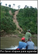 Las lluvias torrenciales que tienen lugar durante los huracanes ocasionan deslizamientos de tierra a pesar de la cubierta forestal. En la cuenca del río Coco, en el norte de Nicaragua, las mismas ponen en peligro vidas humanas, cultivos y ganado. (Foto: Falguni Guharay, SIMAS)