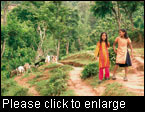 In the mid-hills of Nepal, forests form a part of landscapes under multiple uses (Photo: Mukesh Rijal, Nepal)